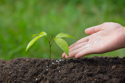 GÜBRETAŞ üretimi durdurdu