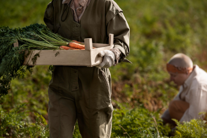 Kilis ve Gaziantep’te kadın çiftçilere onarıcı tarım eğitimi