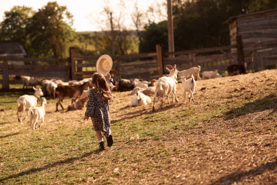 Seydikemer Tarım ve Hayvancılık Fuarı açıldı