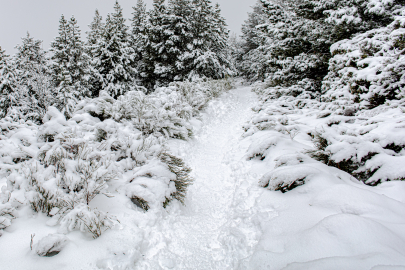 Kars’ta ormanlar ve tarım arazileri kar altında