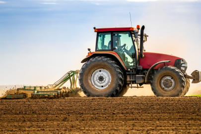 Taklamakan Çölü’nde buğday yetiştirilmeye başlandı