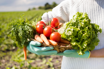 Manisa’da tarım sektörü gerileme eğiliminde