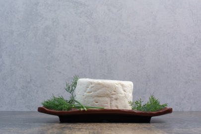 Ezine peyniri ve zeytinyağı festivalde tanıtılıyor