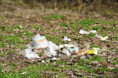 Foça Gediz Nehri’nde kirlilik tehlikeli seviyeye ulaştı