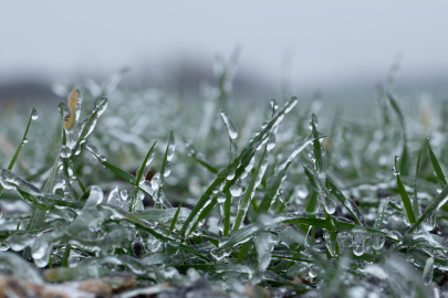 Silifke’de dolu zararı: Hasar tespiti başladı