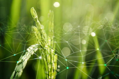 Niğde’de tarım teknolojisinde yapay zeka dönemi