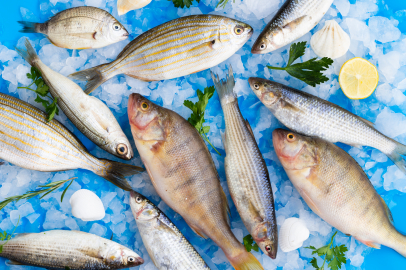 Muğla’dan 198 milyon dolarlık balık ihracatı yapıldı