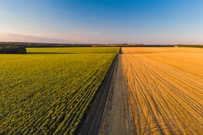 27. Kumluca Tarım ve Seracılık Festivali başladı