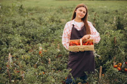 Samsun’da kadın çiftçilere ilaçsız tarım eğitimi verildi