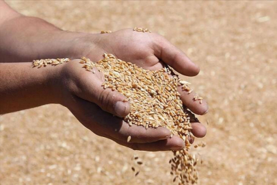 2026 yılı için hububat fiyatları belirlendi