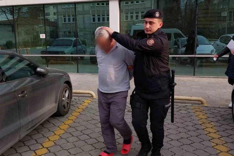 Bin 194 adet sentetik ecza ile yakalanan şahıs tutuklandı