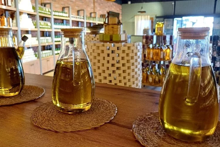 The olive oil pressing season ended early in Aydın