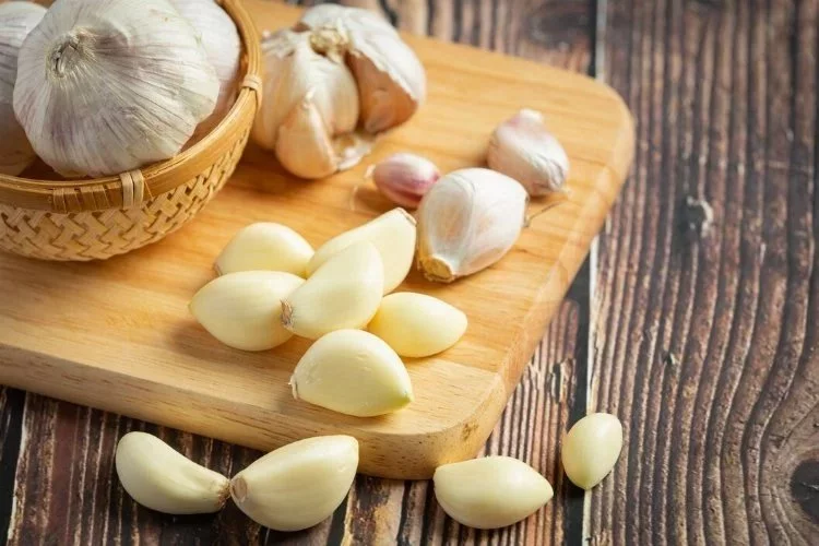 'White gold' Taşköprü garlic meets the soil